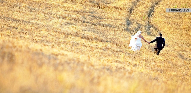 FotoWireless - le foto esterne al matrimonio: un campo di grano con gli sposi
